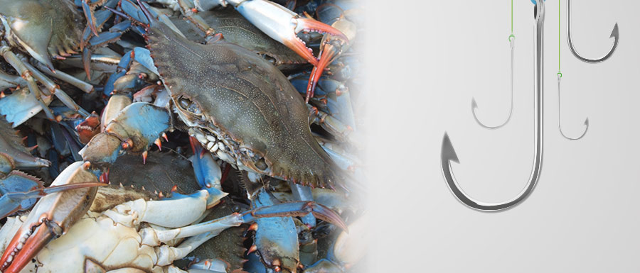 Crabbing Sabine Pass1